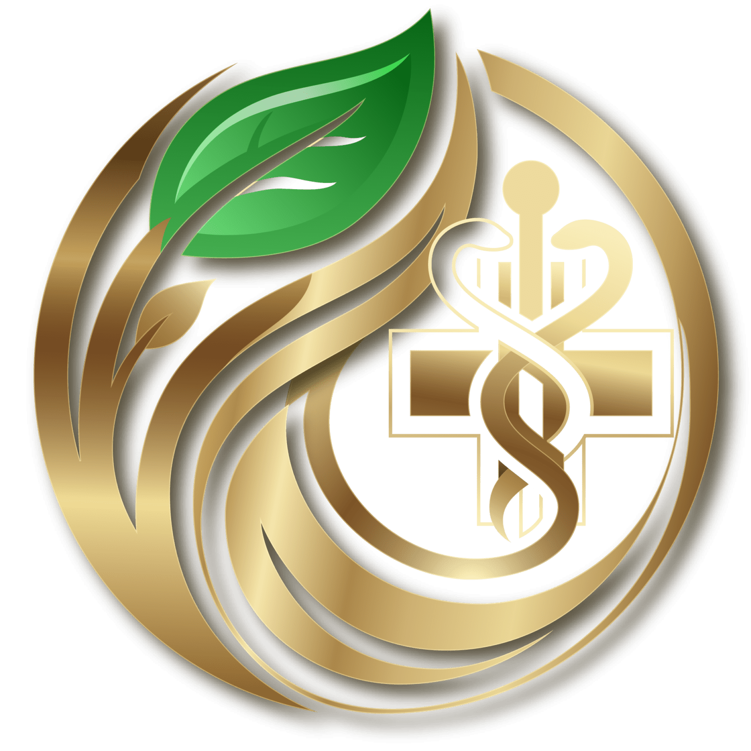 MMJ Doctor Tampa FL | Same-Day Medical Cannabis Card